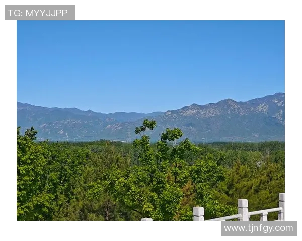 c9和vg比赛号-c9和vg比赛号